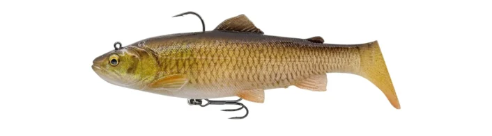 Savage Gear 3D Trout R.Shad FS 20.5cm/135g Cl Chub - imagine 2