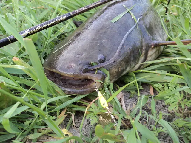 Ligurita rotativa Smith Niakis 48mm 3g 25 Niakis 48mm 3g 25 - imagine 5