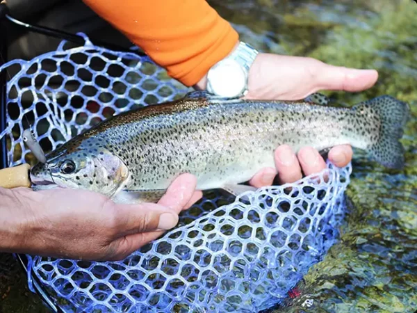 Vobler Smith Bottom Knock Swimmer II 3cm 3.5g 08 Bottom Knock 3cm 3.5g 08 - imagine 3