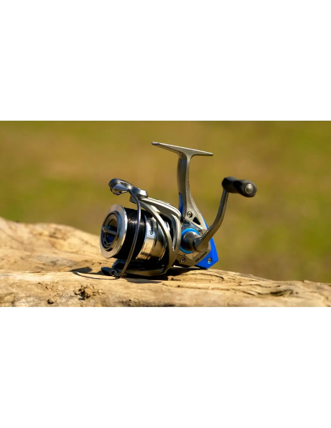 Mulineta Okuma Epixor Ls 20